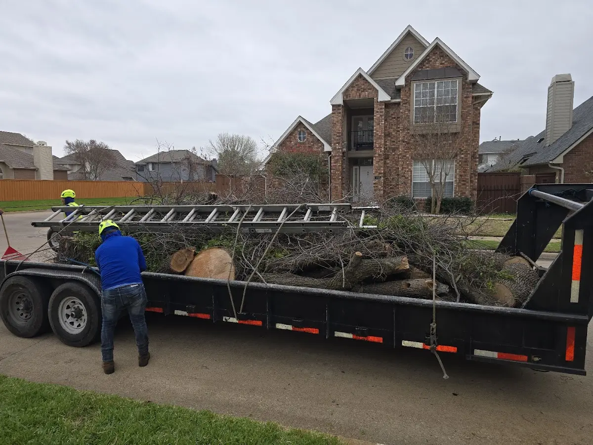 Expert Tree Removal with proper safety equipment in Jersey Shore